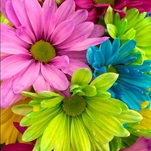 Meet your Posher, Tijuana